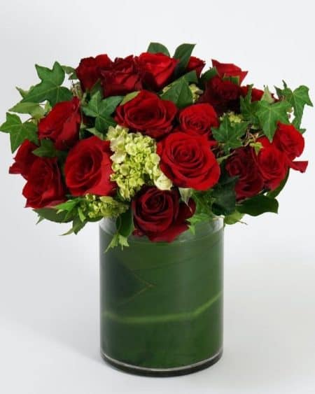 Express the depth of your love with this lavish display of deep red roses. Offering a unique twist to a timeless gift, this stunning display of premium red roses is perfected with accents of delicate trailing ivy and mini green hydrangea. Arranged in a tall leaf-lined cylinder vase and brimming with affection, 