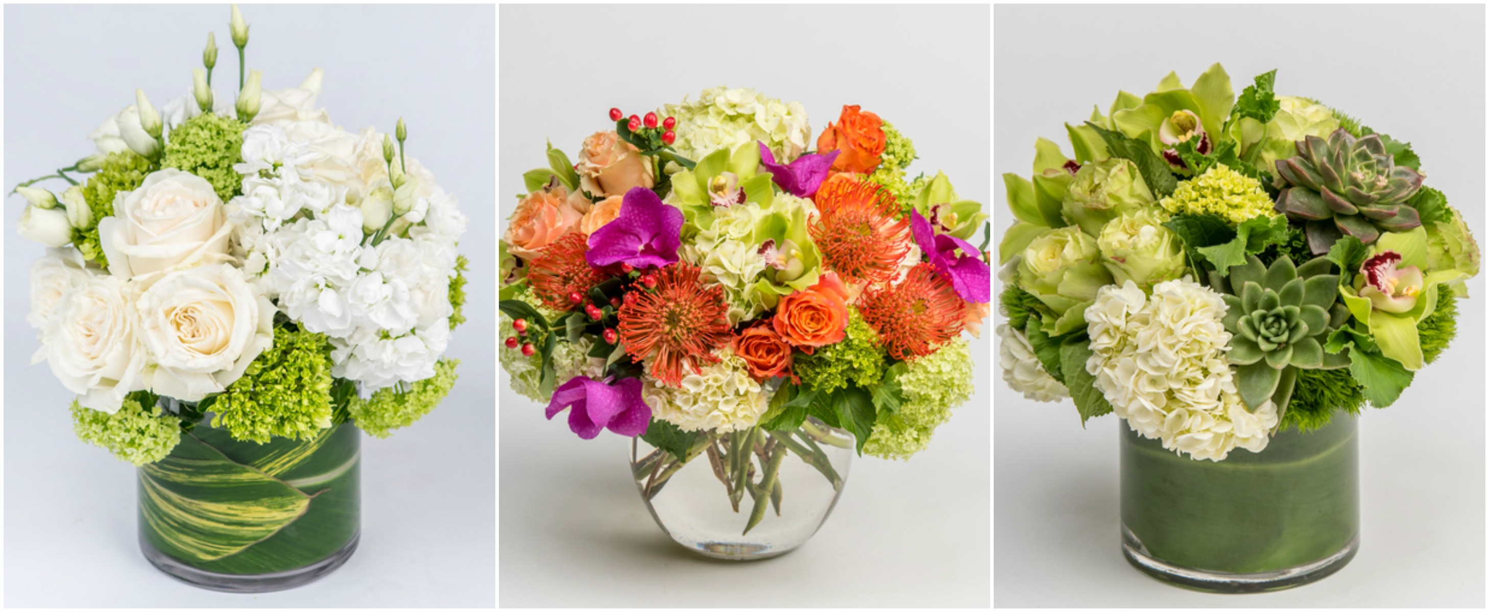 Passover Flowers Robertson's Flowers