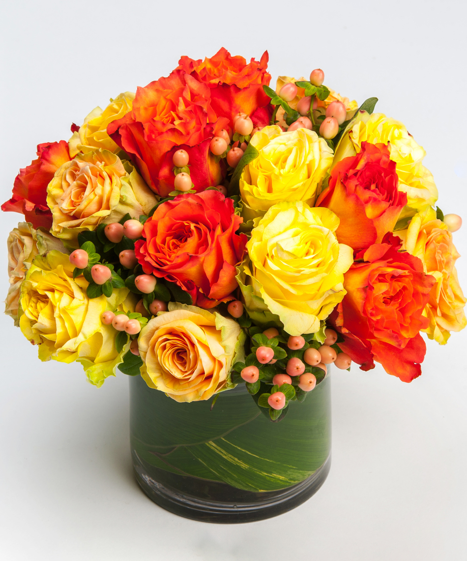 Luxurious Rose Bouquets & Arrangements Robertson's Flowers