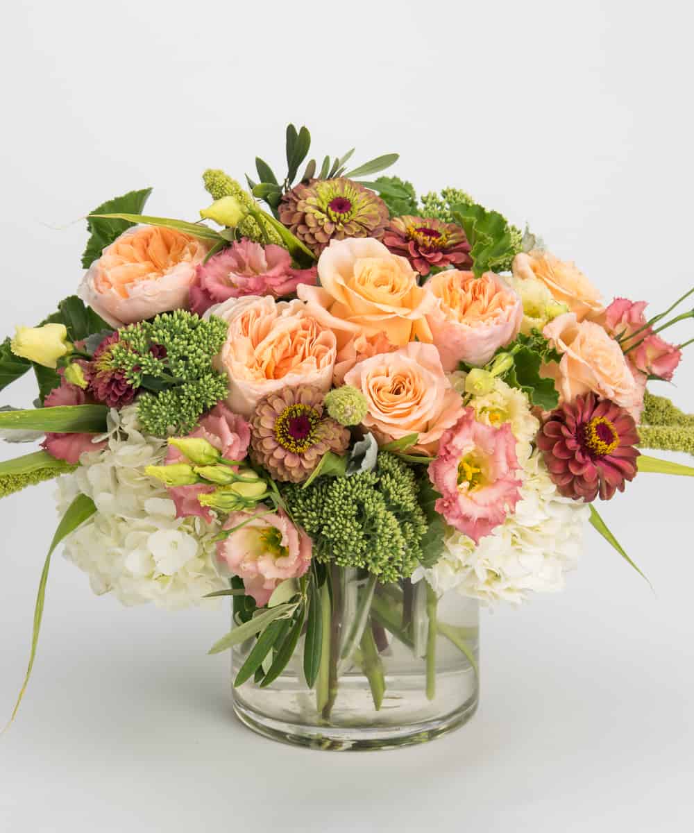 Everything's Coming Up Roses This Fall (Even The Food!) Robertson's