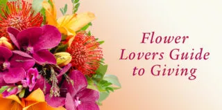 flower lovers guide 2