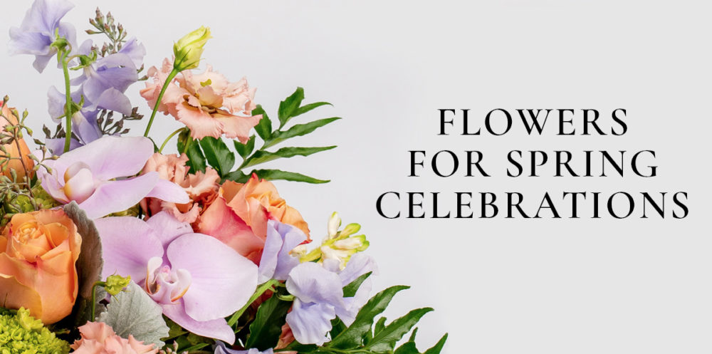 Spring Robertsons Header