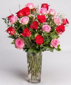 Pink and Red Roses