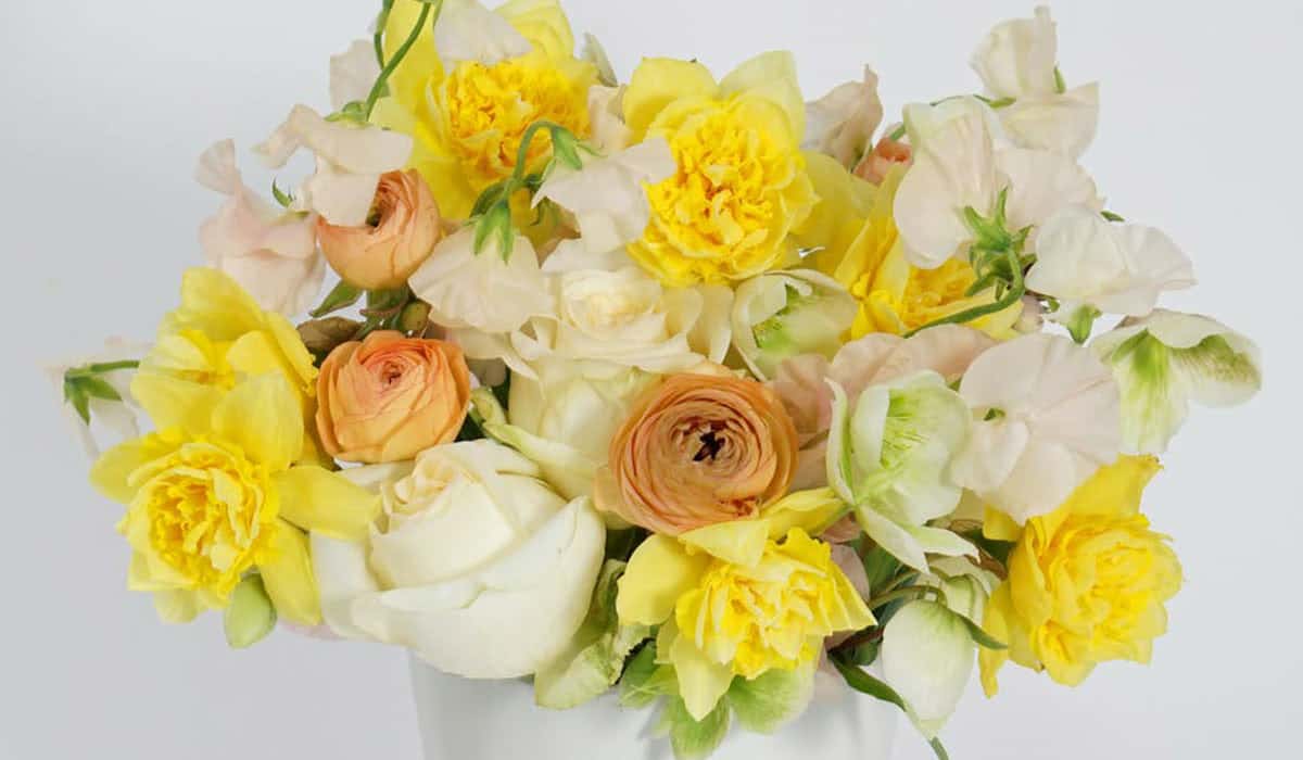 Fresh beautiful vibrant multicolor roses flowers for floral